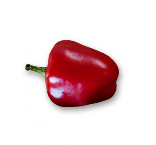Mini Bell Red Chili Samen