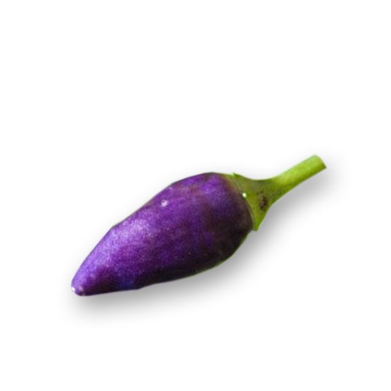 Pretty in Purple Chili Samen